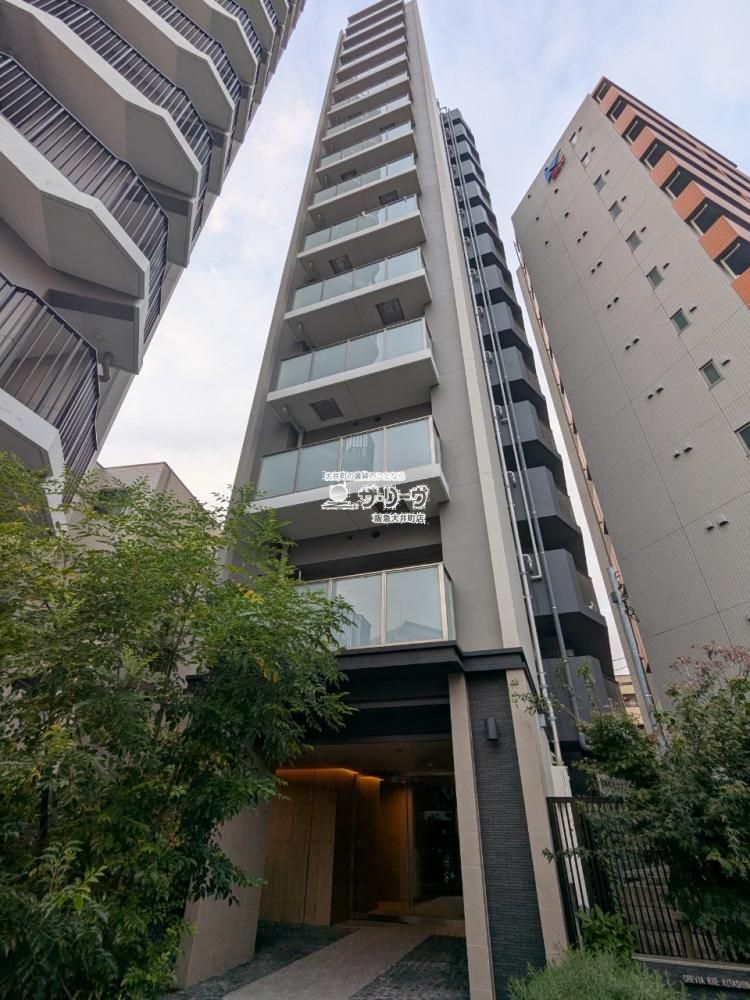 �N�����B�A���O�[�k�i��U�X�e�[�V�����R�[�g �����O��