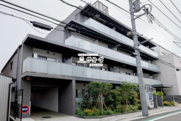 Avvolto@Felice@cSouth O