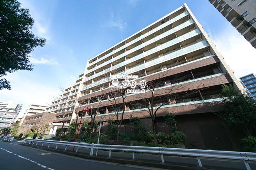 �p�[�N�A�N�V�X�r�c�R �����O��