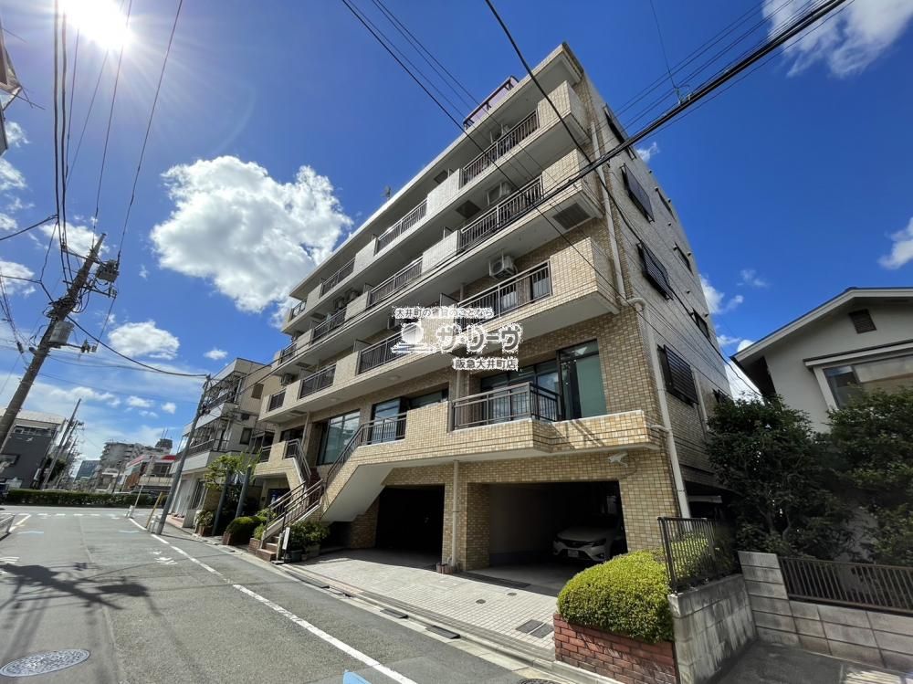 �T�����C�Y��Y �����O��