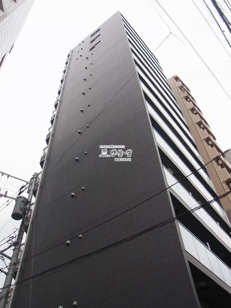 �X�p�V�G���@�����i��`�� �����O��