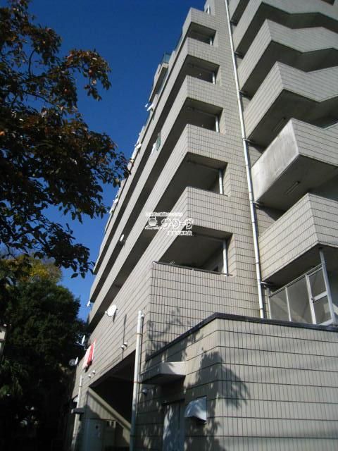 �c�����z�X�J�C���C�g �����O��