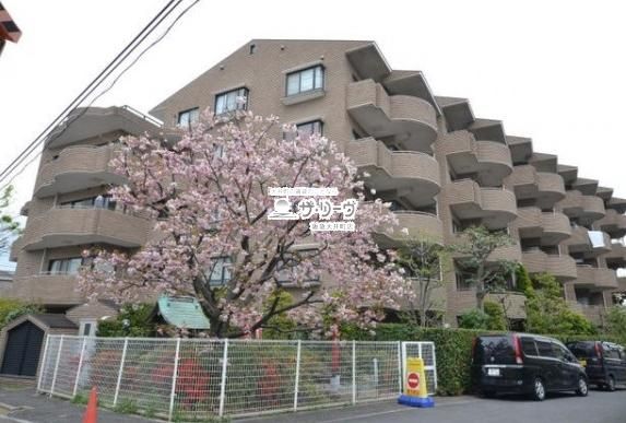 �u�����Y�X�g�[���F�c�� �����O��