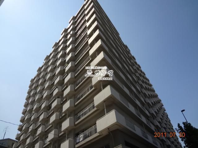 �k�i��T���n�C�c �����O��