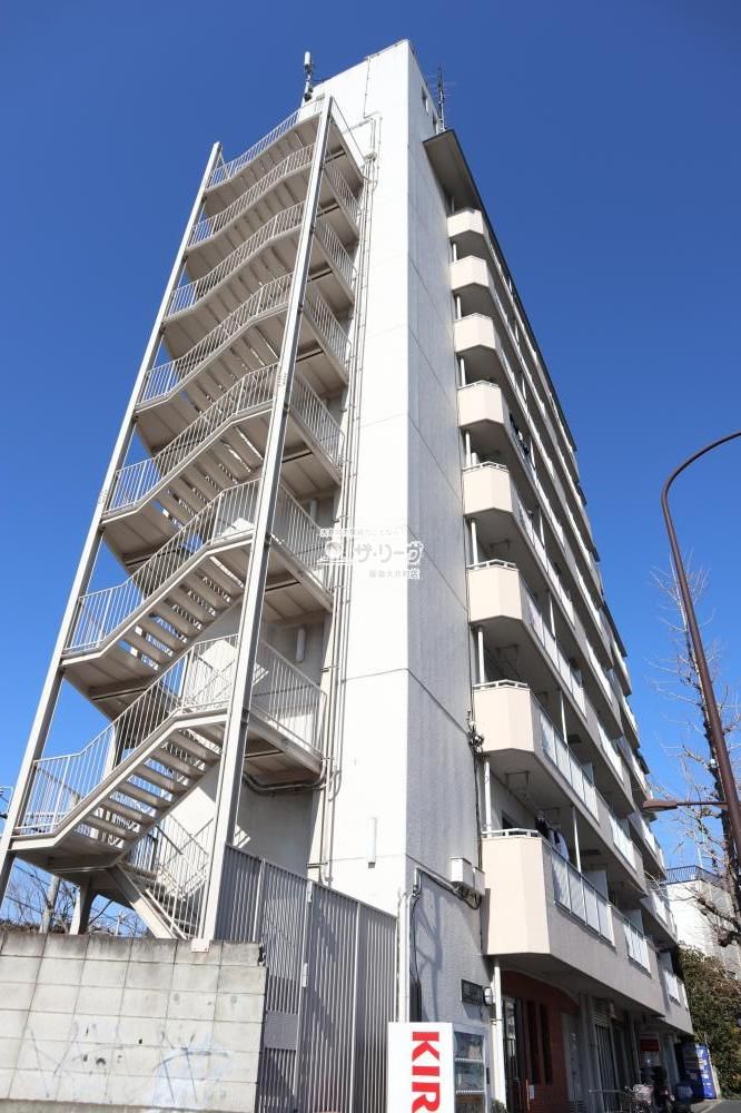 �k�i��_�C�������h�p���X �����O��