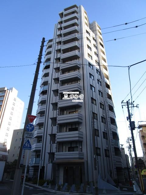 �X�p�V�G���c�O�����h�^���[ �����O��