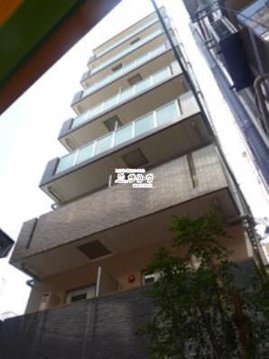 ���W�f���X��X �����O��