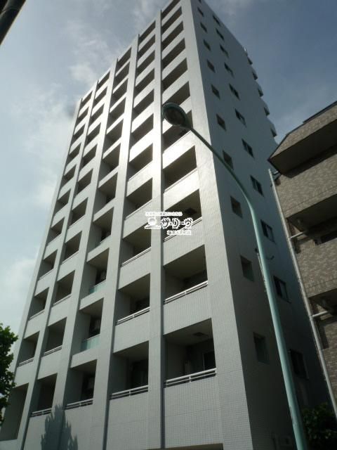 �E�B�X�e�B���A��X�R�� �����O��