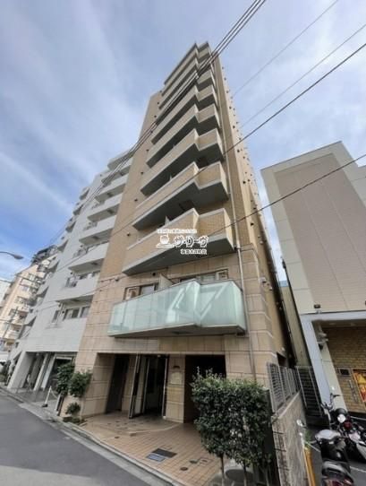 �v���[���E�h�D�[�N���c�U �����O��