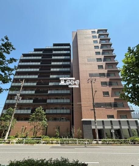 �p�[�N�A�N�V�X�i��V���F�A�C�� �����O��