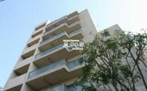 �R���t�H���e�n�C�������R �����O��