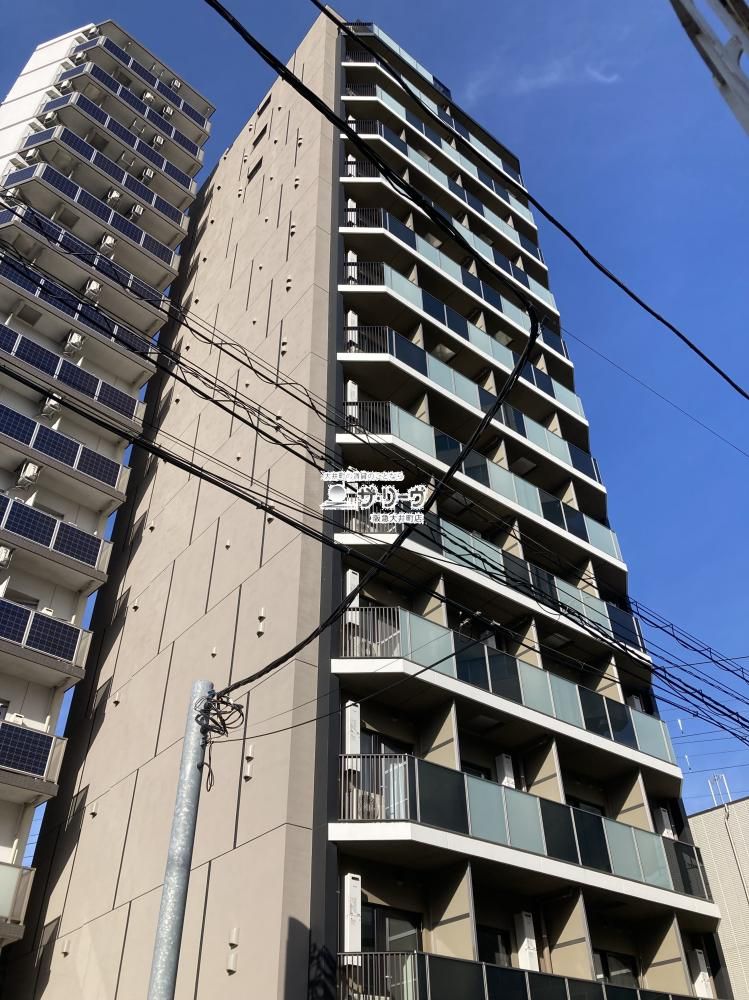 ���W�f�B�A��i��v���C�X �����O��