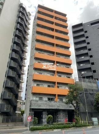 �X�J�C�R�[�g�k�i�� �����O��