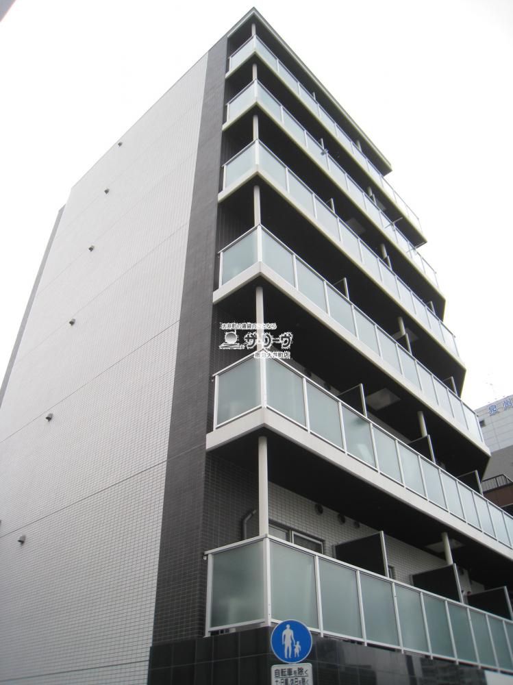 �v���[���E�h�D�[�N���i�� �����O��