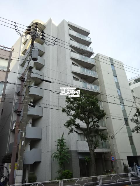 �G�R���W�[��䒬���W�f���X �����O��