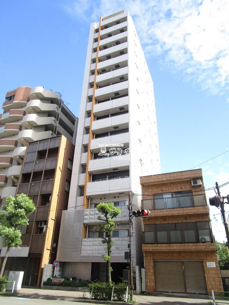 �K�[���E�O�����f�B��X �����O��